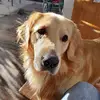 beckycroft49 - @beckycroft496 - TikTok