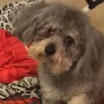 Becky Crowder - Facebook
