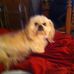Becky McDougal Culp - Facebook