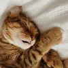 beckythecurl - @beckythecurl - TikTok