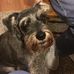 Becky Cushing - Facebook