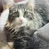 Becky Dailey Hoffer - @beckyh138 - TikTok