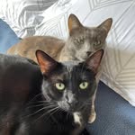 Dandy & Becky Gutierrez - @dandy.becky.gutierrez - Instagram