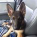 Becky Dann - Facebook