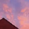 becky.dobbs - @becky.dobbs - TikTok