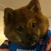 Becky Dotterweich - @bdottz - TikTok