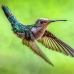 Becky Dowell - @becky.dowell.399 - Instagram