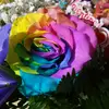 Becky Doyle125 - @beckydoyle1171gmail.com - TikTok