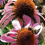 Becky Knowles Drewry - @beckydrewry - Instagram