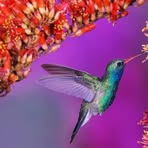 Becky Driggers - Facebook