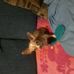 Becky Driggers - Facebook