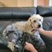 Becky Trosclair Duhon - Facebook