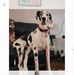 Becky Devlin - Facebook