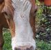 Becky Dunlap - Facebook