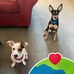 Becky Dyer - Facebook