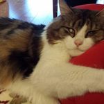 Becky Dyer - @becky.dyer.31 - Instagram