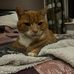 Becky Eades - Facebook
