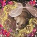 Becky Eades-Moir - Facebook