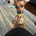 Becky Hoak Eades - Facebook