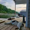 beckyearp461 - @beckyearp461 - TikTok