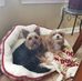 Becky Easterling - Facebook