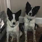 Becky Eastham - @rebecca8141 - Instagram