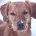 Becky Eckert - Facebook