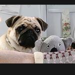 Becky Elder - @bce329 - Instagram