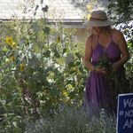 Becky Elder - @beckythegardener2 - Instagram