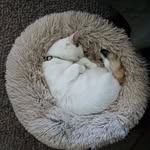 Beckie Jones Ellinger - @polkadotpumpkins - Instagram