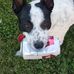 Becky Ellis - Facebook