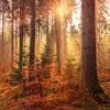 becky Ellis - @becky.elly - TikTok