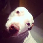 Becky Ely Calvi - @mommacalvi - Instagram