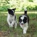 Becky Epperson - Facebook