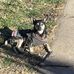 Becky Ernst - Facebook