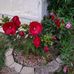Becky Ernst - Facebook