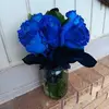Becky Estep - @becky.estep6 - TikTok