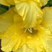 Becky Estep - Facebook
