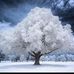 Becky Estes - Facebook