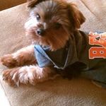 Becky Evenson Schatz - @bschatz07 - Instagram