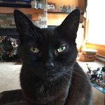 Becky Everett - @beckery73 - Instagram