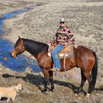 Becky Evers - @eversranch__ - Instagram