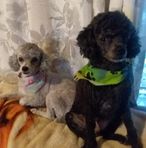 Becky Ewing - Facebook