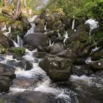 Becky Falls Dartmoor - @beckyfalls - Instagram