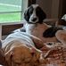 Becky Farley - Facebook