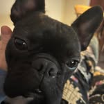 Becky Farrell - @beckywilliams2769 - Instagram