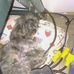 Becky Fehr - Facebook