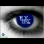 Becky Taylor Fenwick - @beckyf1012bleedsblue - Instagram