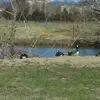 Becky Ferguson - @becky.ferguson59 - TikTok