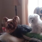 Becky Ferguson Riggs - @becky.riggs.31 - Instagram